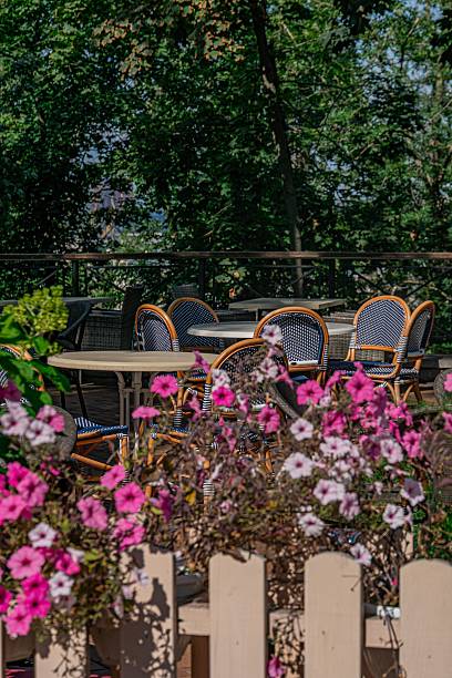 Outdoor dining setting in a modern city, soft natural light, round table with four blue white checkered chairs, vibrant pink flowers, lush green foliage, pristine white table surface, healthy trees
