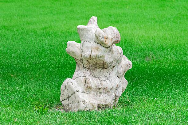 istock Jagged stone on green grass, natural lighting, outdoor setting a 2232874281