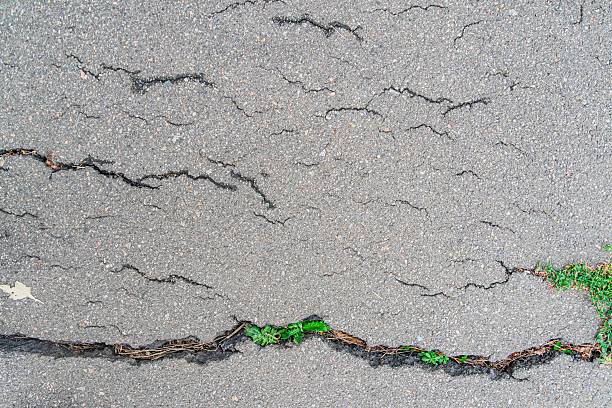 Green grass pushing through a road crack highlighting nature's perseverance and urban growth