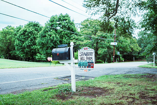 A mailbox and sign for Strawberry Hill Farm stand along a rural roadside in New Jersey.