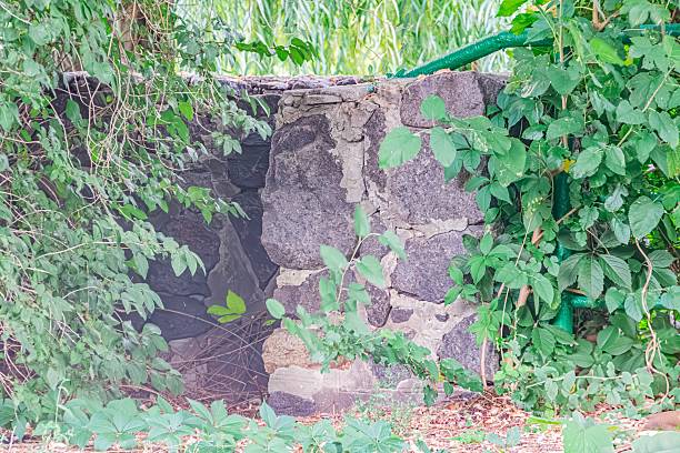 Stack stone structure partially hidden by vegetation, weathered stones, lush green leaves, overcast or diffused lighting, rustic setting, naturalistic ambiance