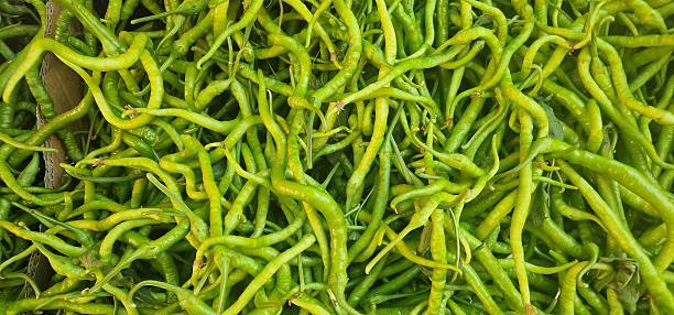 A large pile of long, slender green peppers is shown in a top-down view, the peppers are slightly curved and tangled together, filling the entire frame with their vibrant color and texture