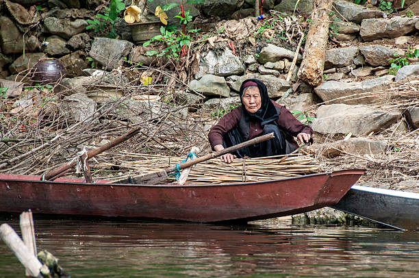 My  Duc, Hanoi, Vietnam - nov 29, 2013: an elderly woman loads wood and reeds on her boat along the Yen Suoi River in Vietnam