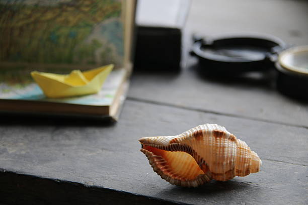 istock Seashell on the table. Summer travel concept. 2232884270