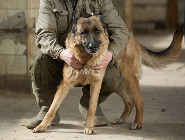 istock Squatting man owner is hugging his German Shepherd 2232886916