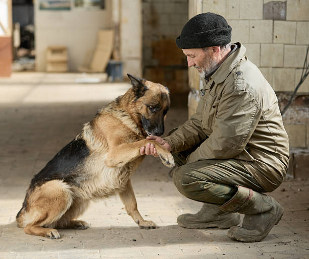 istock Mature man is squatting, looking at his dog German Shepherd and holding its front paw 2232886997