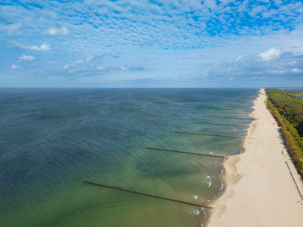 Expansive ocean meets a pristine sandy beach adorned with groynes, bordered by lush greenery. The scene highlights the harmony of nature and provides a tranquil setting under a partly cloudy blue sky. Perfect for evoking serenity, coastal landscapes, or unspoiled natural beauty.