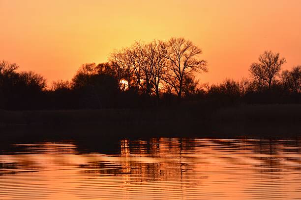 Sunset on the river with willows in the foreground and reflection in the water in early spring