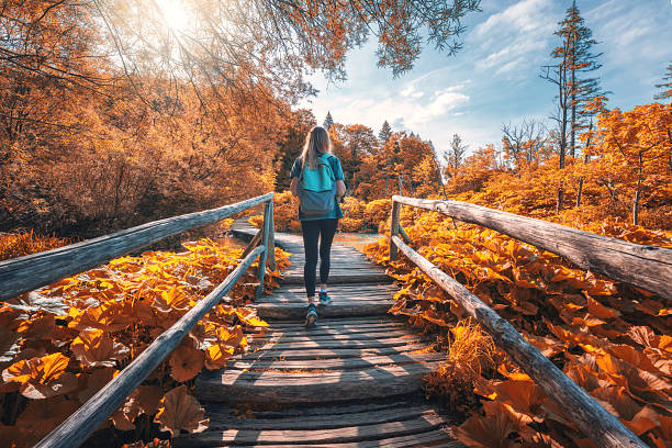 Woman with backpack walking on wooden path. Waterfalls in autumn