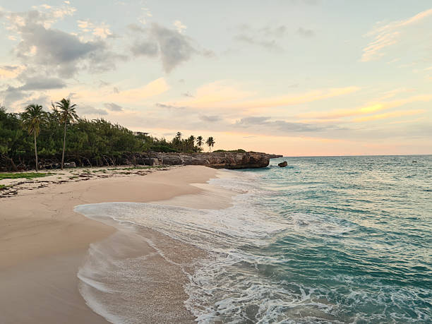 istock tropical beach with broadwide sand and smooth waves in an evening sky 2232909850