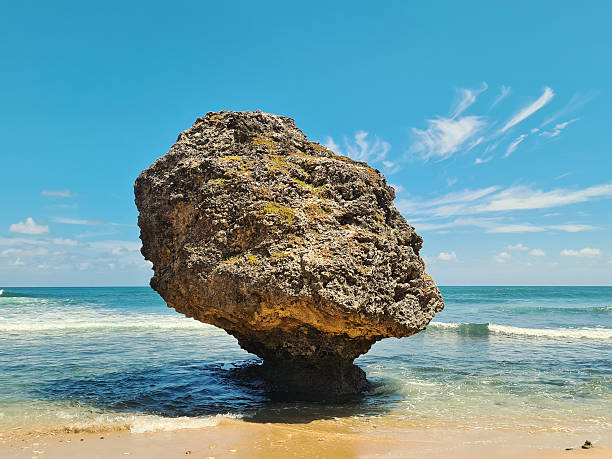 large coral reef rock standing like a monument on a tropical beach
