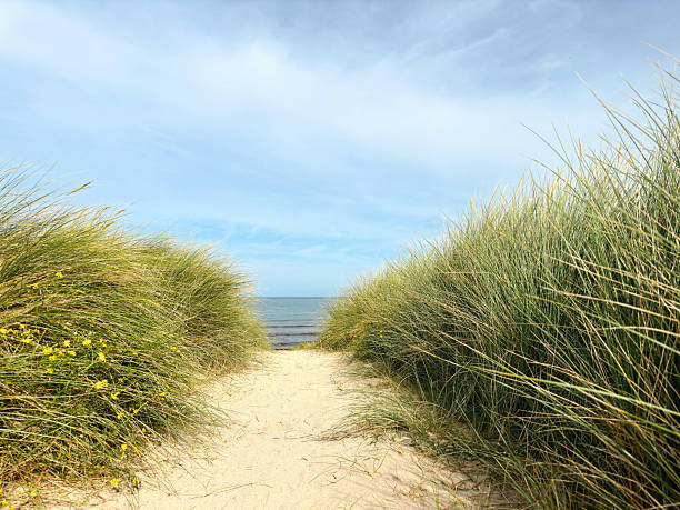 istock Path through the dunes to the sea in Normandy 2232910827