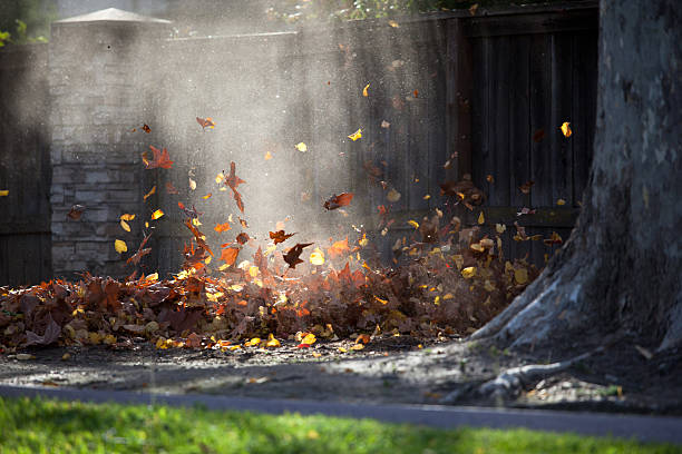 Autumn Leaves in the Air