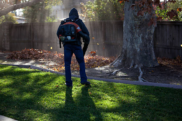 A man clears fallen autumn leaves using a leaf blower in a courtyard in a city neighborhood. View from above.