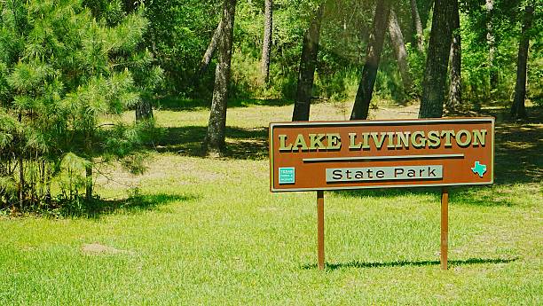 istock Lake Livingston State Park Texas 2232912615