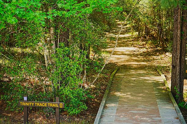 istock Trail Systems at Lake Livingston State Park Texas 2232913325