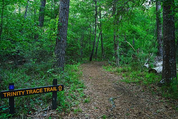 istock Trail Systems at Lake Livingston State Park Texas 2232913327
