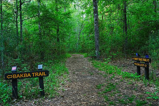 istock Trail Systems at Lake Livingston State Park Texas 2232913361