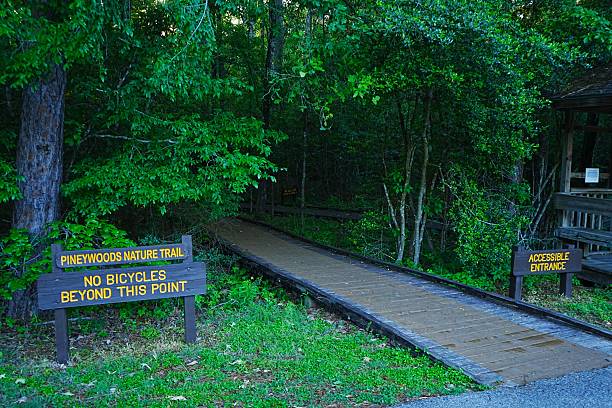 istock Trail Systems at Lake Livingston State Park Texas 2232913371
