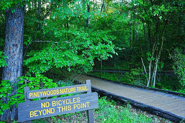 istock Trail Systems at Lake Livingston State Park Texas 2232913372