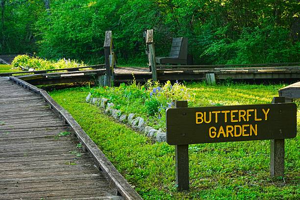 istock Trail Systems at Lake Livingston State Park Texas 2232913433