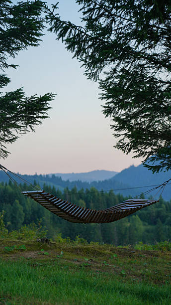 istock Wooden hanged Hammock between trees with mountain view 2232916706