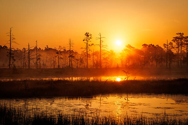 Sun rising at the bog or lake, reflection in the water foggy weather