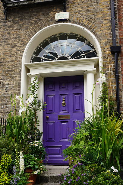 A distinctive purple door, a classic example of Dublin's famous Georgian architecture, is surrounded by lush green plants and flowers. The ornate fanlight and classic columns are a testament to the city's unique style.