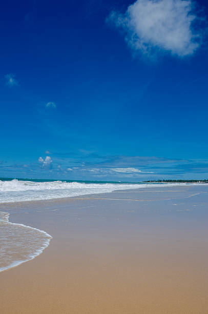 istock 'Muro Alto' Beach in Porto de Galinhas, Pernambuco, Brazil 2232921012