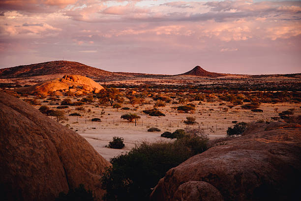 istock desert and dry trees in the sunset 2232922937