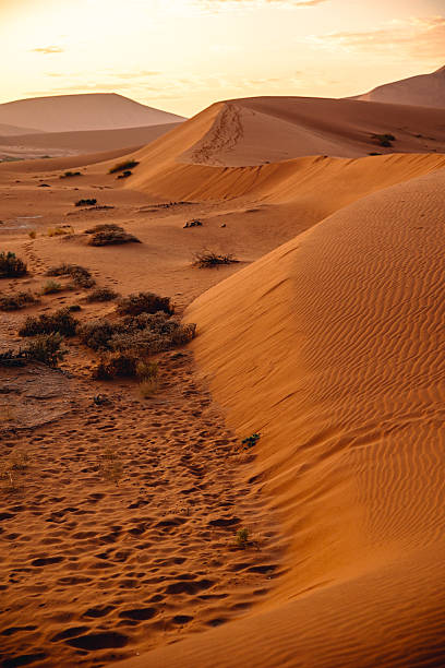 istock namib desert dunes 2232923161