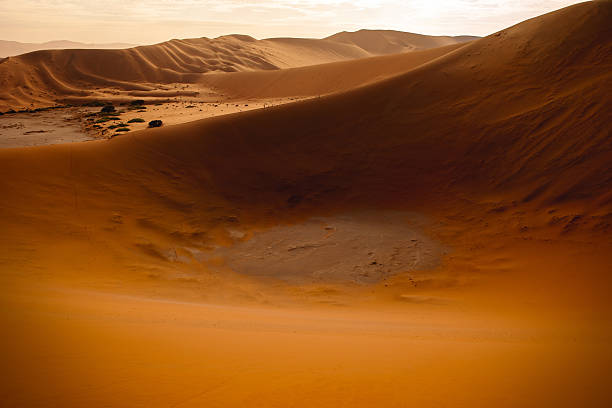 Scenic Landscape of Desert Sand Dune 45. Dune 45 is a star dune in Sossusvlei, Namibia. Its name comes from the fact that it is 45km from the Sesriem Canyon. It is composed of million year old sand that was brought by the Orange River from the Kalahari Desert. Sesriem, Sossusvlei, Namib-Naukluft Park, Namibia, South West Africa.