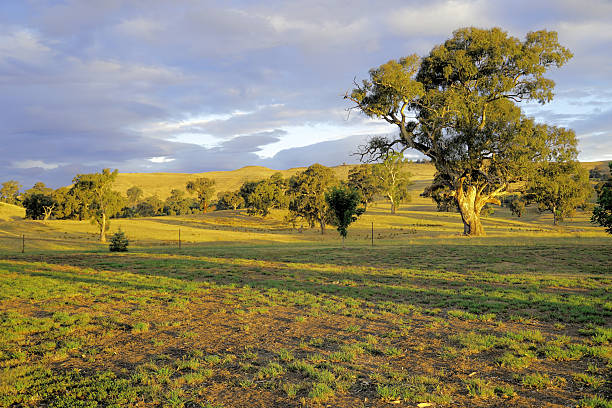 istock Mansfield,  Victoria, Australia 2232923455