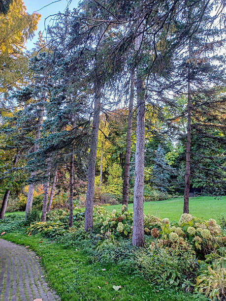 istock James Gardens park in Toronto 2232931522