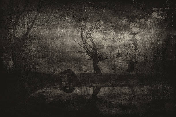 Spooky dark landscape in black and white