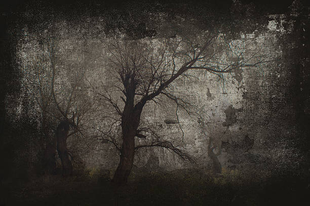 istock Spooky dark landscape in black and white 2232935165