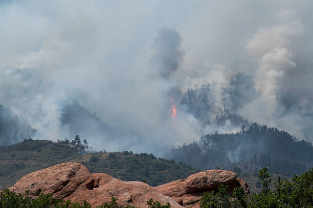 Jefferson County, Colorado (07/31/2024) - A large flame burns during the Quarry Fire near Deer Creek Valley. Plumes of smoke hangs over trees as the fire grows.