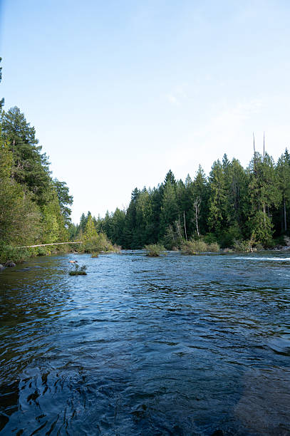 istock the river in the forest in canada 2232947350