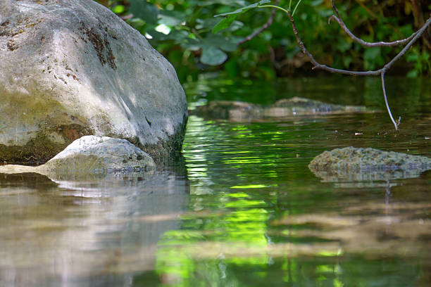 Clean water gently flowing in a peaceful forest stream near large rocks