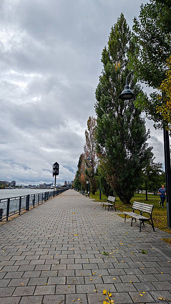 istock Montreal Streets And Hills In Fall 2232954038