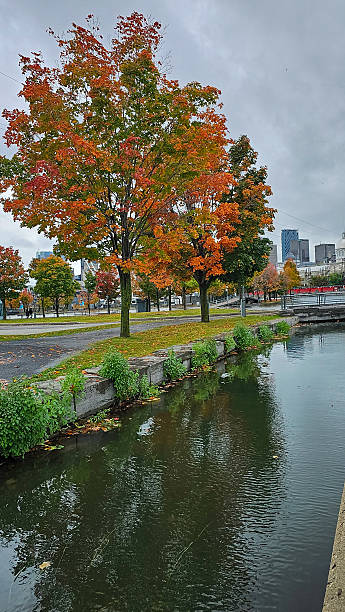 istock Montreal Streets And Hills In Fall 2232954056