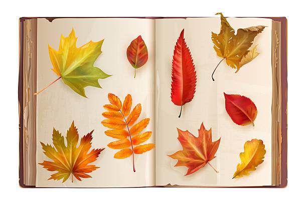 istock Herbarium. Realistic book with autumn leaves on old pages, dry orange leaf fall foliage applique nature collection 3d vector illustration 2232960152