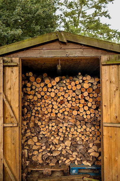 istock Full shed of stacked firewood. 2232964117