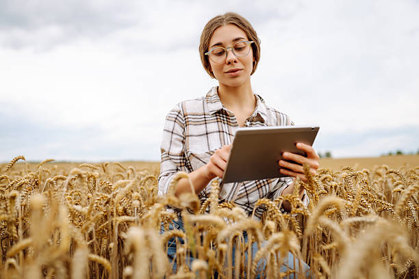 istock Experienced female agronomist in a wheat field with a digital tablet. 2232964175