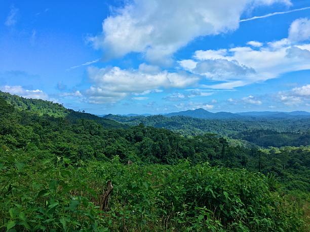 istock Meratus Mountain Range at Tropical Borneo Rainforest, Indonesia 2232964733