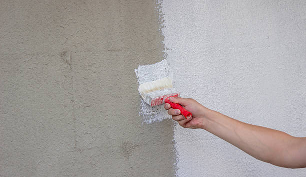 istock Painting a Wall with Brush and White Paint 2232969433