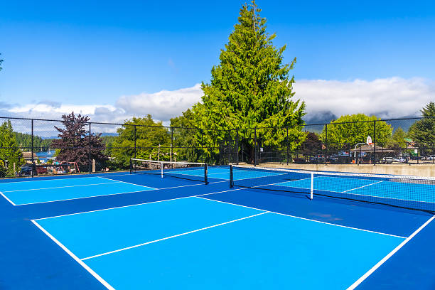istock Pickleball courts await players on sunny day 2232970581