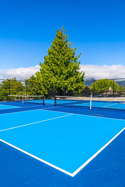 istock Pickleball courts basking in the sunlight on a clear day 2232970589