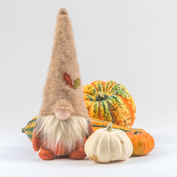 Garden gnome on a white background
