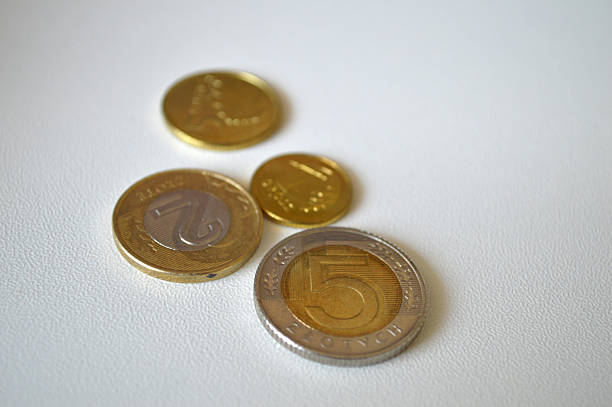 A clean, close-up shot of a small number of Polish Zloty coins on a white textured surface. This image is perfect for highlighting the European economy, personal finance, and currency concepts